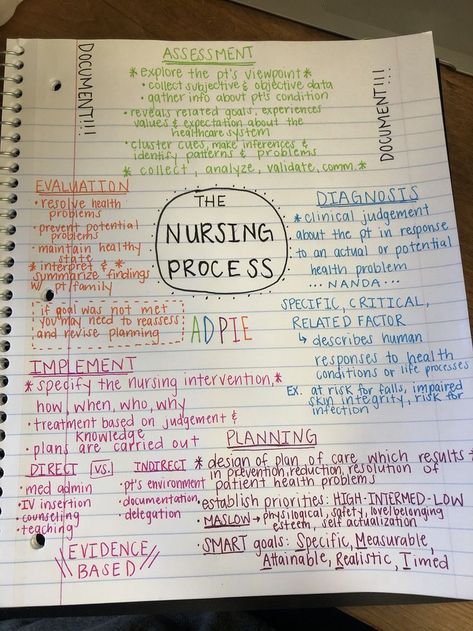 Nursing Student Quotes Inspirational, Nursing Notes Organization, Cna Notes, Delegation Nursing, Nursing Students Aesthetic, Studying Nursing, Registered Nurse School, Nursing School Studying Cheat Sheets, Nursing School Organization