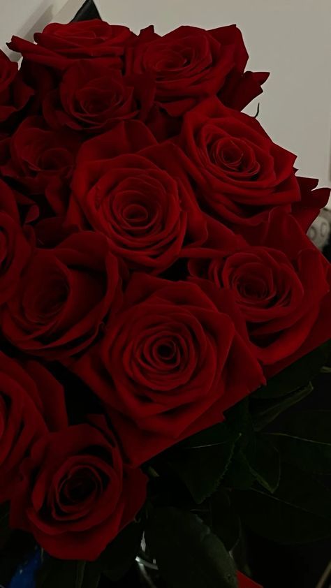 Discover the beauty and significance of red roses, a timeless symbol of romance and passion. Whether used in bouquets, arrangements, or garden displays, red roses bring elegance and charm to any occasion. Learn about their varieties, care tips, and creative uses to enhance your floral decor. Perfect for anniversaries, Valentine's Day, or just because, red roses are a classic choice that speaks volumes. Elevate your floral game and embrace the allure of these exquisite blooms. Celebrate love with Red Plant Aesthetic, Red Rose Bouquet Aesthetic, Dark Red Roses Aesthetic, Rose Bouquet Aesthetic, Received Flowers, Garden Displays, Forever Rose, Nothing But Flowers, Bouquet Arrangements