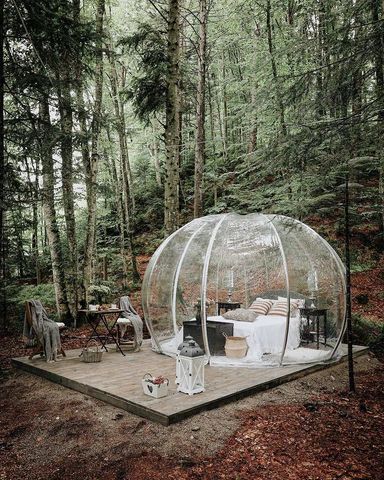 Garden Igloo Decorating Ideas, Garden Igloo, Stylish Outdoor Furniture, Home Greenhouse, Garden Stand, Trailing Plants, Garden Cafe, Garden Bar, Garden Structures