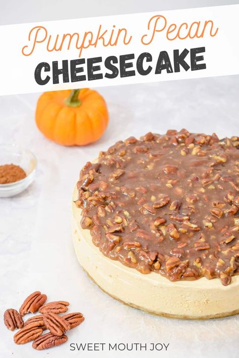 No Bake Pumpkin Caramel Cheesecake, Pumpkin Cheesecake With Pecan Topping, Pecan Pumpkin Cheesecake, Praline Topping Recipe, Pecan Praline Topping, Pumpkin Pecan Cheesecake, Pumpkin Spice Pecans, Pumpkin Spice Cheesecake, Pecan Cheesecake