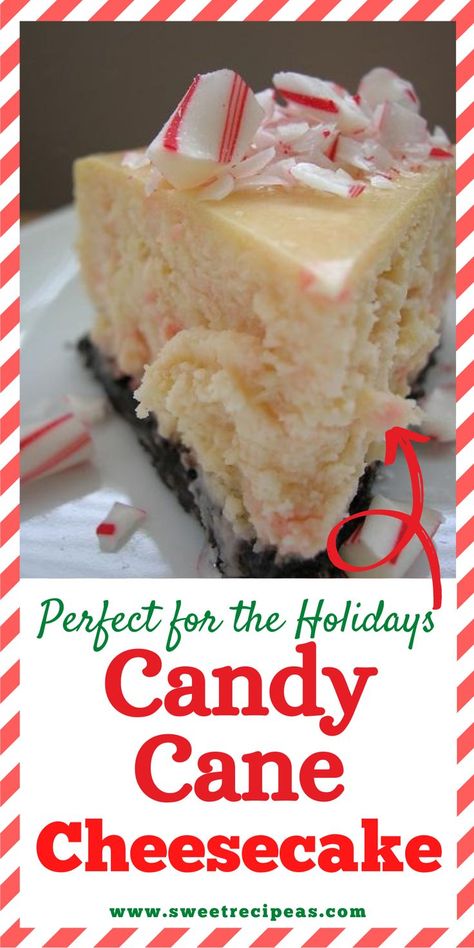 Candy Cane Cheesecake Recipes, No Bake Candy Cane Cheesecake, Candy Cane Cheesecake, Gingerbread Hot Chocolate, Chocolate Christmas Cookies, Holiday Baking Christmas, Sugar Cookie Crust, White Chocolate Candy, Pinterest Christmas