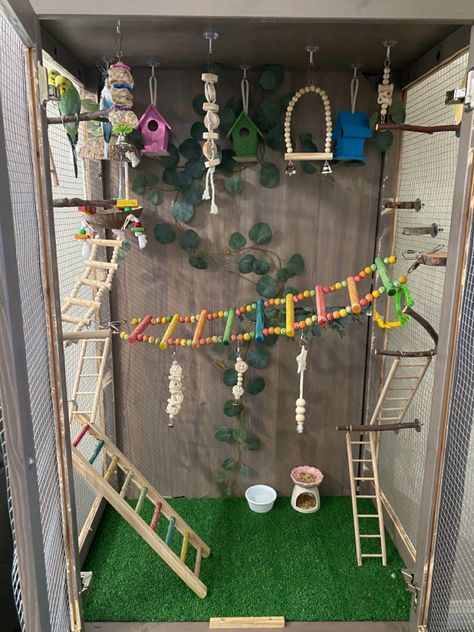 Cute Bird Cage Setup, Birdcage Ideas Pet, Parrots House Ideas, Cool Parakeet Cages, Pet Parakeet Aesthetic, Diy Pet Bird Toys, Diy Bird Cage Accessories, Toys For Budgies, Budgie Diy Ideas