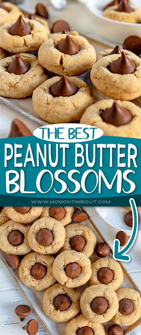 Delicious Peanut Butter Blossoms are a holiday favorite! Soft and chewy peanut butter cookies rolled in sugar and topped with a kiss! Hershey Peanut Butter Blossom Cookies, Peanut Blossoms Cookies Hershey's Kisses, Peanut Butter Reeses Cookies, Best Peanut Butter Blossoms, Recipes Baked Goods, Peanut Butter Kisses, Peanut Blossom Cookies, Kisses Cookies, Peanut Butter Blossoms Recipe