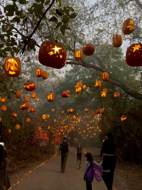 The Sky, Lanterns, Walking, Trees, Halloween