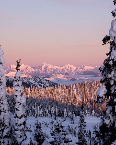 *🇺🇸 The peaks of Glacier National Park (Montana) rising into the sunset by Trevor Hull (@trev.hull) on Instagram ❄️🌅 Jun-05-2021 Visit Montana, Big Sky Montana, Montana Usa, Glacier National Park Montana, Glacier Park, Big Sky Country, Mountain Photos, Pretty Colors, Big Sky