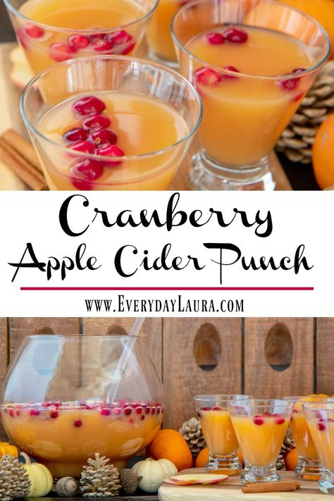 CRANBERRY APPLE CIDER PUNCH | Everyday Laura Cranberry Apple Cider Punch, Cranberry Cider Punch, Cranberry Apple Cider, Fruit Drinks Alcohol, Christmas Drinks Nonalcoholic, Cider Punch, Apple Cider Punch, Cranberry Cider, Cranberry Punch