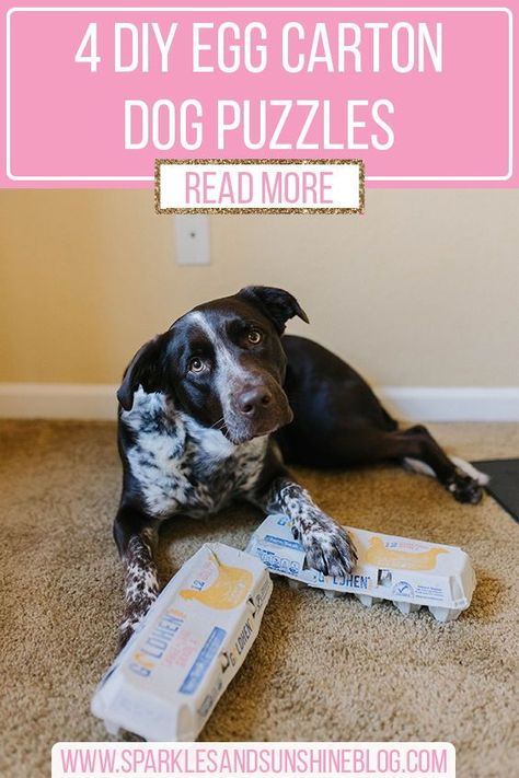 Diy Food Puzzles For Dogs, Treat Puzzles For Dogs, Dog Maze Diy, Dog Homemade Toys, Stimulating Dog Activities Diy, Puzzle Games For Dogs, Dog Sleepover Ideas, Dog Kennel Activities, Puppy Activity Gym