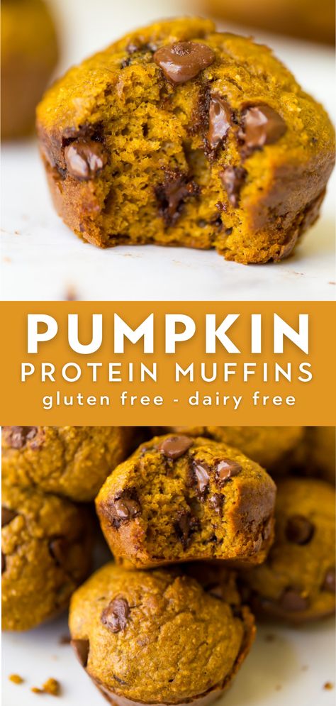 Protein Muffins Gluten Free, Protein Pumpkin Muffins, Gluten Free Protein Muffins, Pumpkin Protein Muffins, Muffins Gluten Free, Pumpkin Protein, Plats Healthy, High Protein Desserts, Protein Smoothies