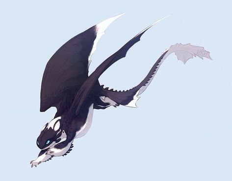 Night Fury Stormcutter Hybrid, Night Light Fury Oc, Httyd Dragon Oc Art, Titan Wing Night Fury, Nightfury Oc, Night Fury Oc, Night Light Fury, Httyd Oc, American Horror Stories