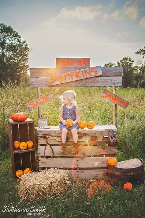 cute photo set up for a pumpkin patch birthday party Fall Mini Shoot, Fall Photo Booth, Halloween Mini Session, Fall Backdrops, Pumpkin Stand, Photo Halloween, Mini Photo Sessions, Pumpkin Stands, Halloween Toddler