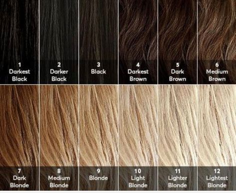 Hair Level Chart, Bleaching Dark Hair, Diy Bleach Hair, Bleaching Hair At Home, Dark To Light Hair, Bleach Hair Color, Blonde Hair At Home, Hair Chart, Hair Bleaching