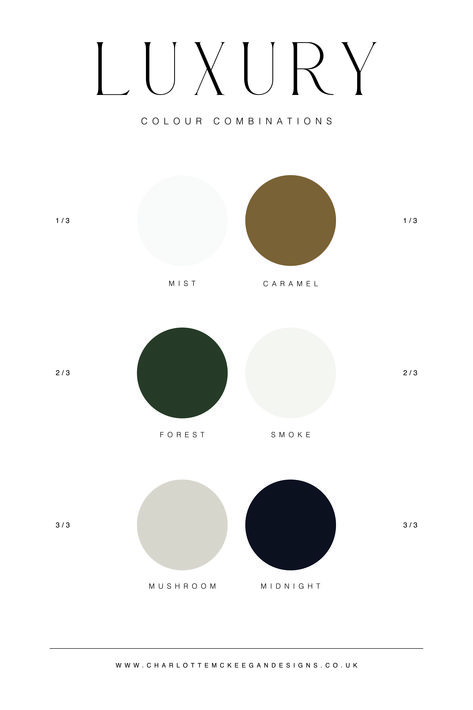 Here is some of my favourite luxury colour combinations! This is a great starting point for you to create a colour palette from these Apartment Palette Colour Schemes, Business Professional Color Palette, Website Ideas Inspiration Color Schemes, Luxury Modern Color Palette, Modern Design Color Palette, Blog Colour Palette, Color Palette Luxury Colour Schemes, Colour Palette For Business, White And Black Colour Palette