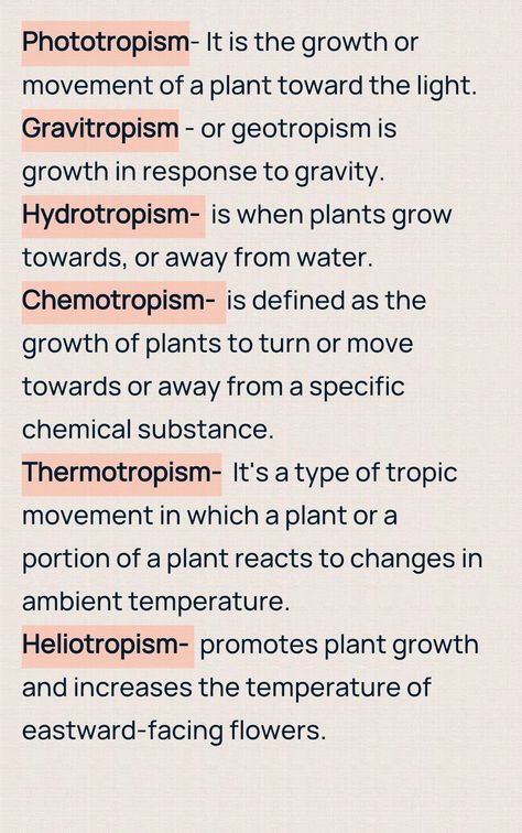 Botany Botany Study Tips, Botany Lessons High School, Botany For Beginners, Botany Journal Ideas, Botany Student Aesthetic, Plant Psychology, Botanist Aesthetic, Biology Basics, Botany Notes