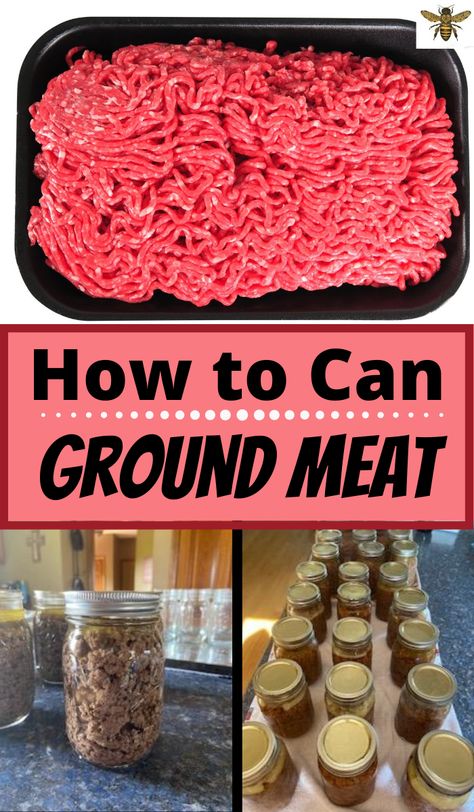 How To Pressure Can Ground Beef, How Long Does Canned Meat Last, How To Can Ground Beef, How To Can Meat Pressure Canning, Canning Ground Sausage, Pressure Canning Ground Beef, Can Meat Recipes, How To Can Meat, Meals To Can