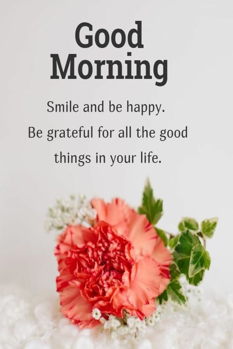 Smile and be happy Be grateful for all the good ❄️💗❄️ things in your life #Good_Morning Silly Sayings, Dussehra Images, Eating Quotes, Good Morning Msg, Sweetheart Quotes, Quotes Morning, Morning Sweetheart, Flowers Quotes, Good Morning Happy Sunday