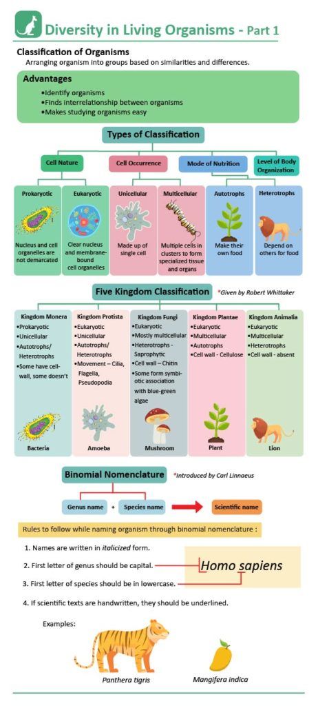 Five Kingdom Classification: Kingdoms, Features, Examples with Videos Biology Kingdoms Animal Classification, Evolution And Classification Of Life, Characteristics And Classification Of Living Organisms Notes, Classification Of Living Organisms, Classification Of Animal Kingdom, Class 11 Biology Notes Plant Kingdom, Classifications Of Living Things, Animal Kingdom Biology Notes, Classification Biology Notes