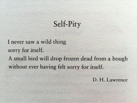 Self-Pity by English writer and poet, D.H. Lawrence. (1885 - 1930) Strength Quotes, Tumblr, Self Pity Quotes, Pity Quotes, Makes You Stronger Quotes, Stronger Quotes, Poetry Wall, Dh Lawrence, D H Lawrence