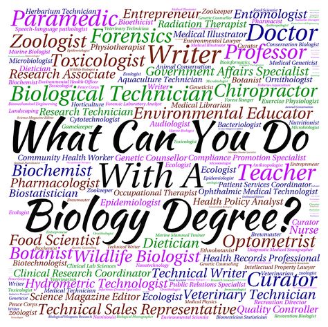 What can you do with a Biology degree? Biology Classroom Decor, Article Ideas, Biology Degree, Radiation Therapist, School Biology, Biology Classroom, High School Biology, College Majors, Biology Lessons