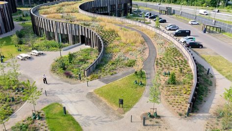 Sloped Landscape Design, Slanted Architecture, Step Landscape, Curved Landscape, Ground Design, Slope Landscape, Library Landscape Design, Landscape Design Concept, Architecture On Hill