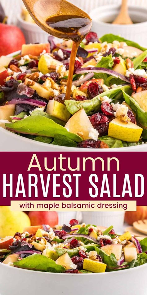 This Harvest Salad is studded with apples, pears, dried cranberries, and crunchy pecans to make a vibrant, fall-forward salad. It's finished with salty crumbles of feta cheese and a gorgeously creamy homemade balsamic dressing. It's wonderful for an autumn lunch or dinner, or as a Thanksgiving side dish! Half Baked Harvest Salad Recipes, Fruit Salad Thanksgiving Recipes, Autumn Apple Salad, Fall Green Salad Recipes, Fruit Salad For Thanksgiving, Holiday Salads Christmas, Fall Salads Recipes Autumn, Harvest Salad Dressing, Fall Pasta Salad Recipes