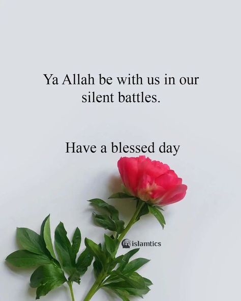 Jummah Kareem, Hello May Quotes, Silent Battles, Jumuah Mubarak Quotes, Greetings For The Day, Morning Sayings, Jumma Mubarik, Muslim Greeting, Durood Shareef