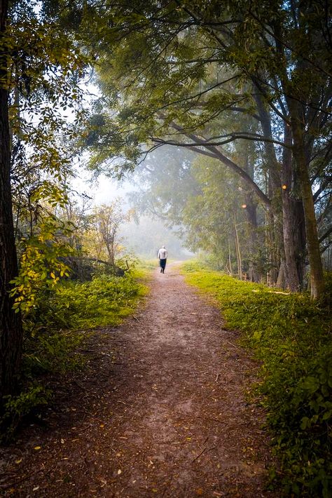 Nature, Bonito, Walk Photography, Nature Hd, Romantic Escapes, Magic Forest, Foggy Morning, Morning Walk, Winding Road