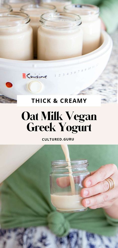 Oat Milk Yogurt, Oat Yogurt, Vegan Yogurt Recipe, Yogurt With Fruit, Yogurt Starter, Creamy Oat Milk, Jammy Eggs, Vegan Greek Yogurt, Eggs And Toast