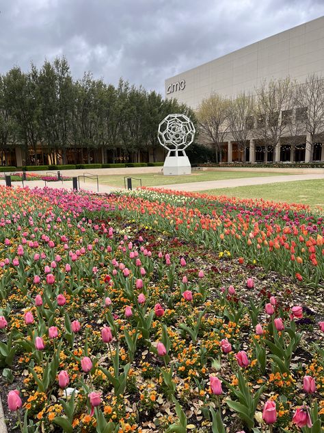 Northpark Mall Dallas, Charlotte's Web, Design Concept, Concept Design, Garden Design, Dallas, Design