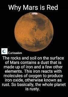 Outer Space Facts, Mars Facts, Facts Science, Astronomy Facts, Astronomy Science, Cool Science Facts, Space Facts, Solar System Planets, Earth And Space Science