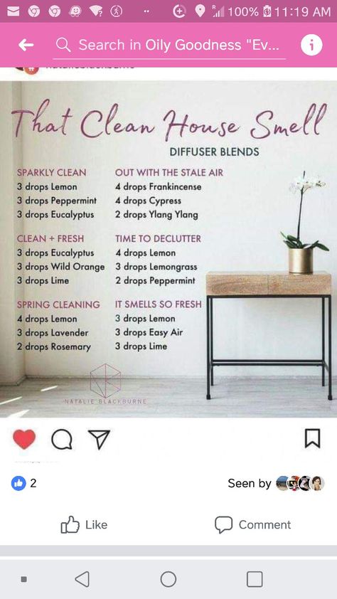 Clean House Smell, Make Your Home Smell Good, Home Smell Good, Diy Fragrance, Essential Oil Combinations, Doterra Essential Oils Recipes, Essential Oil Diffuser Blends Recipes, Essential Oils Guide, Essential Oil Spray