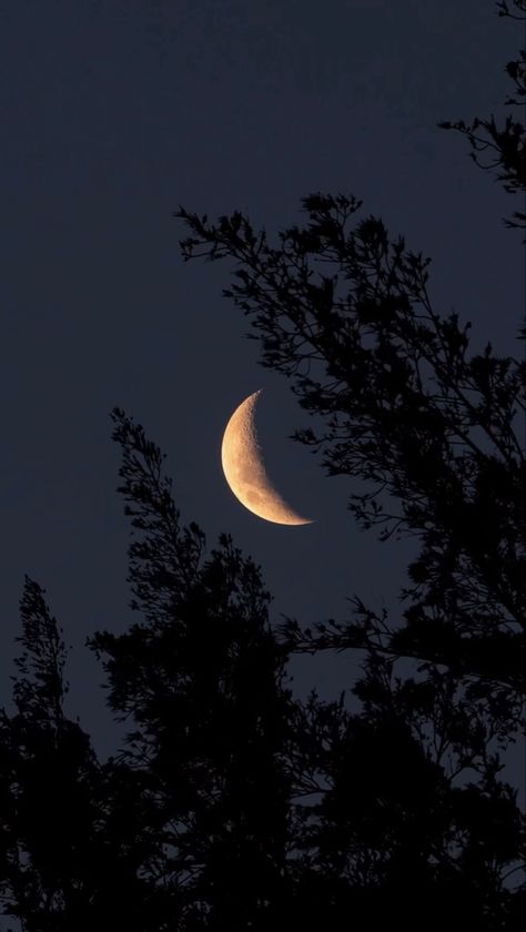 Object Of Desire, Moonbin Astro, Night Sky Moon, Moonlight Photography, Sky Gif, Blue Moon Photography, Desain Quilling, Night Sky Photography, Moon Wallpaper