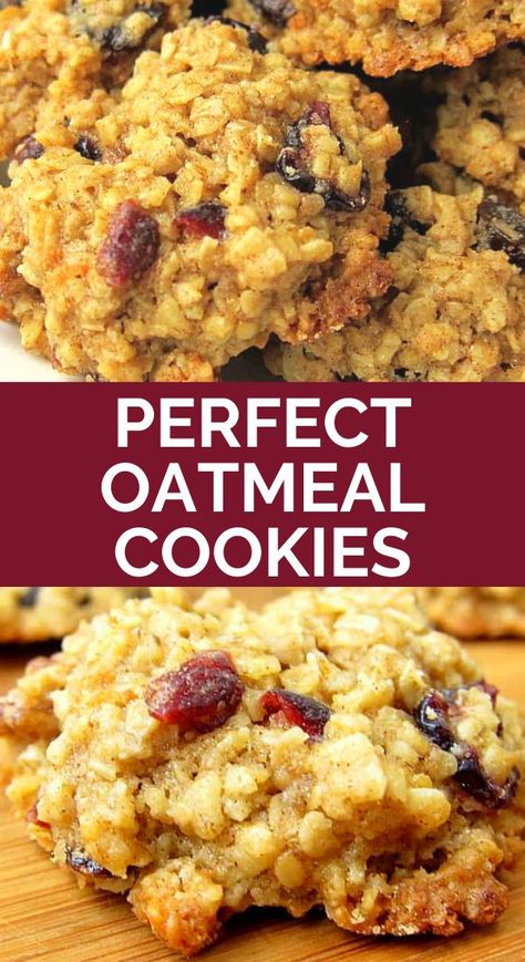 Craisins Recipes, Oatmeal Craisin Cookies, Craisin Cookies, Dried Cranberries Recipes, The Best Oatmeal, Oatmeal Raisin Cookie, Best Oatmeal Cookies, Oatmeal Cookies Easy, Raisin Cookie