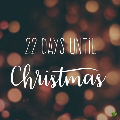 23 Days Till Christmas, Christmas Countdown Quotes, 25 Days Till Christmas Countdown, Days Till Christmas Countdown, How Many Days Until Christmas 2022, Hallmark Countdown To Christmas 2022, Christmas Tumblr, Days Till Christmas, Day Left