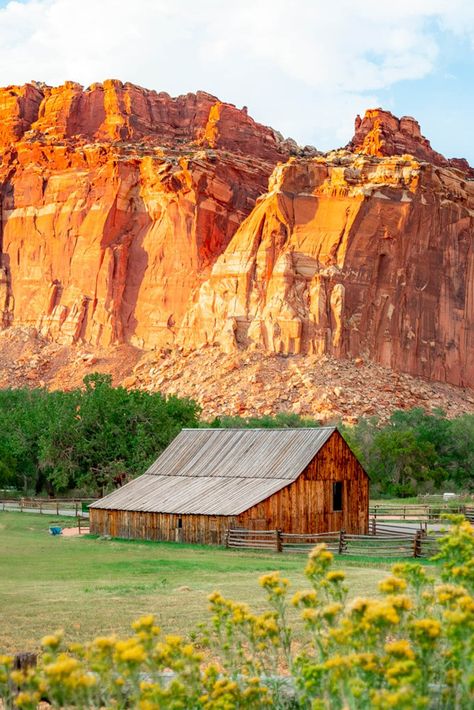 Capital Reef National Park, Escalante Utah, Utah National Parks Road Trip, Fireworks Photo, Sunset Point, Utah Road Trip, National Parks Photography, Capitol Reef, Capitol Reef National Park