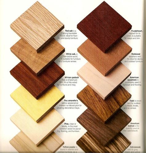 Wood Types & Samples for Client Reference Wood Furniture Colors, Outdoor Wood Projects, Type Of Wood, Coastal Dining, Painting Wood Furniture, Wood Building, Shabby Chic Dresser, Wood Sample, Top Furniture