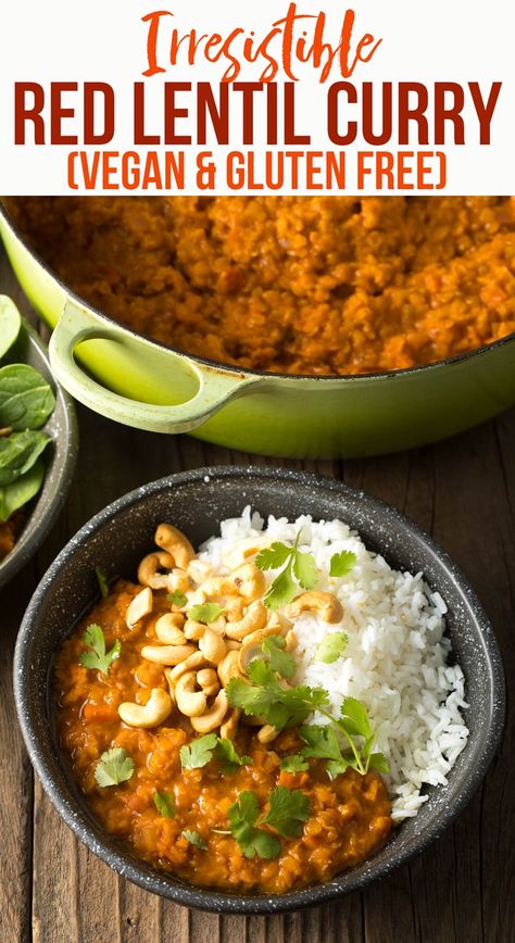 Lentil Recipes Healthy, Red Lentil Curry, Red Lentil Recipes, Lentil Curry Recipes, Vegan Curry Recipes, Resep Smoothie, Lentil Dishes, Red Lentils, Vegan Curry