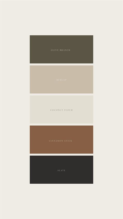 Wood Color Palette Interior, Gray Rust Brown Living Room, Transitional Modern Wall Decor, Small Double Wide Living Room Ideas, Colors That Go With Cool Gray, Moody Home Palette, Dark Academia Home Color Palette, Dark Color Home Decor, Earth Tone Restroom