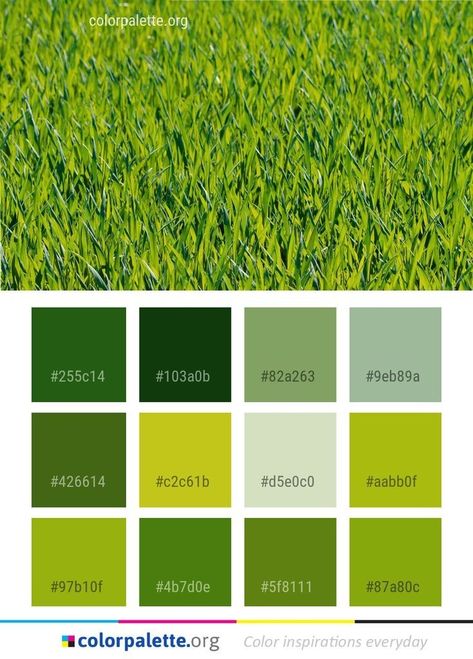 Graphics Design Inspiration, Organic Branding, Green Web, Colors Inspiration, Hex Color Palette, Color Palette Challenge, Color Catalog, Color Schemes Colour Palettes, Infographic Illustration