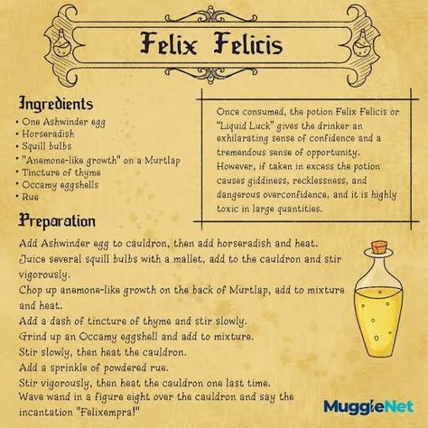 Harry Potter Potions Recipes, Harry Potter Potion Ingredients, Harry Potter Infographic, Harry Potter Script, Harry Potter Classes, Harry Potter Notebook, Harry Potter Scrapbook, Harry Potter Journal, Imprimibles Harry Potter