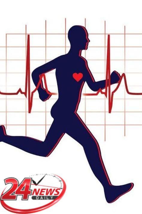 Cardiovascular fitness is important as it serves a healthy heart and body. The below exercises can boost cardiovascular endurance Build Endurance, Cardiovascular Fitness, Healthy Heart, Best Exercises, Cardiovascular Health, Heart Healthy, Do Anything, Health