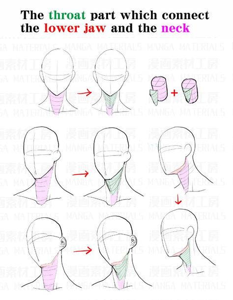 MangaMaterials＠TESCO on Twitter: "How to draw the neck : Awkward part and the correcting method②… " How To Draw Necks, Manga Materials, Neck Drawing, Drawing Heads, Anatomy Sketches, Gambar Figur, Anatomy Drawing, Figure Drawing Reference, 판타지 아트