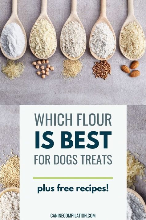 Organic Dog Treats Recipe, Natural Dog Treats Recipes, Parents Aesthetic, Dog Treats Recipes, Healthy Homemade Dog Treats, Dog Training Treats Recipe, Dried Dog Treats, Homemade Pet Treats, Soft Dog Treats