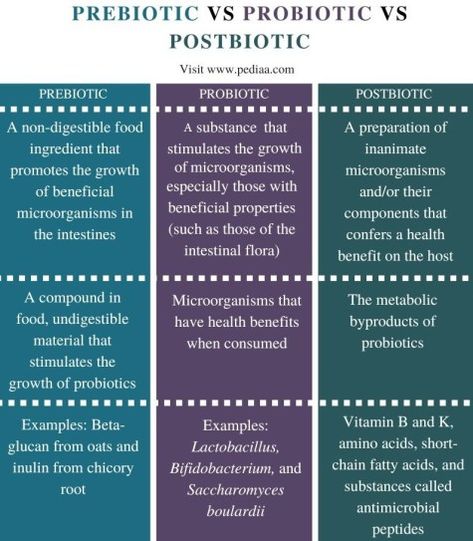 What is the Difference Between Prebiotic Probiotic and Postbiotic Check more at https://in4arts.com/what-is-the-difference-between-prebiotic-probiotic-and-postbiotic.html Vegan Essentials, Gut Health Diet, Probiotic Benefits, Fulvic Acid, Flora Intestinal, Prebiotics And Probiotics, What Is The Difference Between, Nutritional Value, Holistic Living