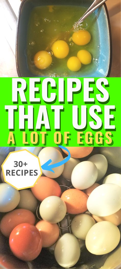 Recipe Using Lots Of Eggs, Quick Egg Recipes, Egg Recipes For Lunch, Egg Recipes For Dinner, Best Egg Recipes, Egg Lunch, Eggs Dinner, Healthy Egg Recipes, No Egg Desserts