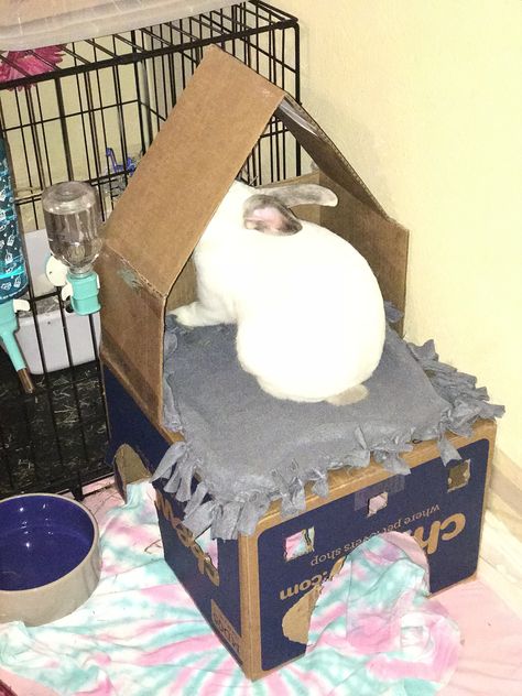 Cardboard Bunny, Bunny Castle, Guinea Pig Diy, Cardboard Castle, Bunny House, Pet Bunny, Dog Gate, Pet Rats, Diy Arts And Crafts