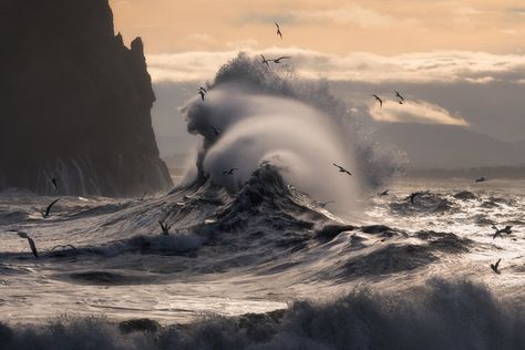 Photo © Majeed Badizadegan Goddess Of The Sea, Alam Yang Indah, In The Ocean, Sea And Ocean, Ocean Life, Ocean Beach, Ocean Waves, Amazing Nature, Beautiful World