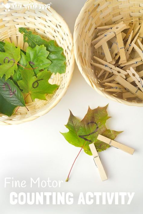 FINE MOTOR COUNTING ACTIVITY - This wonderful seasonal counting activity uses… Autumn Counting Activities, Autumn Eyfs, Maths Eyfs, One To One Correspondence, Early Years Maths, Numeracy Activities, Maths Area, Counting Activity, Eyfs Activities