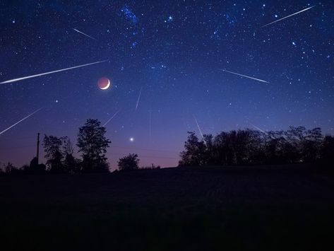 Leonid Meteor Shower Peaks This Weekend: When To See Fireballs In MN Full Pink Moon, Leonid Meteor Shower, Perseid Meteor Shower, Atlanta Art, Atlanta Restaurants, Spooky Places, Detroit Area, National Weather Service, Sunny Afternoon