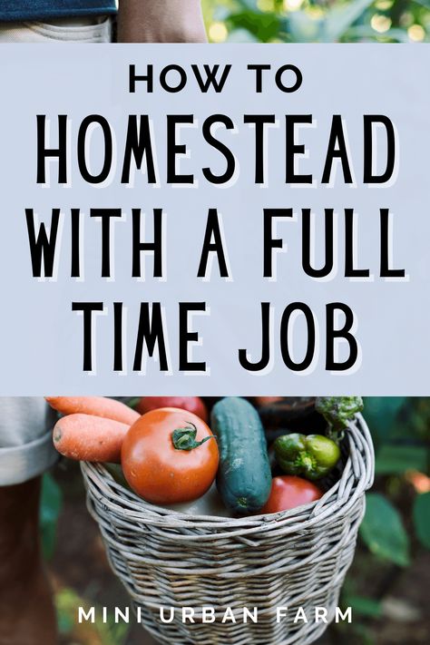 #homesteading #farming #gardenrnrnHow to Homestead With a Full Time Job - Urban Homesteading - Can I Homestead With a Full Time Job? - Mini Urban Farm Small Farming Ideas, Cheap Homestead Ideas, Home Steading For Beginners, Starting A Homestead, How To Homestead, Self Sustaining Homestead, Modern Homestead Aesthetic, Homestead Hobbies, Home Steading Ideas