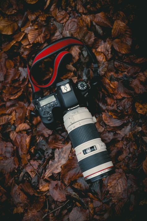 Thanks to Niklas Hamann for making this photo available freely on @unsplash 🎁 Sony Dslr Camera, Electronics Wallpaper, Best Camera For Photography, Camera Wallpaper, Best Dslr, Camera Prices, Canon Dslr, Nikon Dslr, Close Up Photography